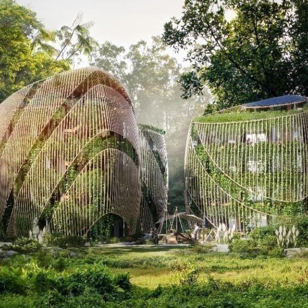 Yazmin Arias | Living the Noom