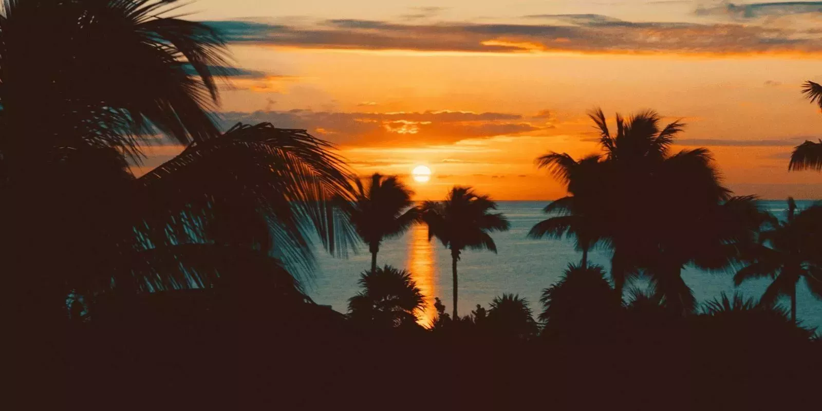  Los Cabos, Mexico vs. Caribbean Islands: Which Destination Is Easier to Reach from the United States of America?
